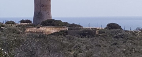 IMG-20180430-WA0012