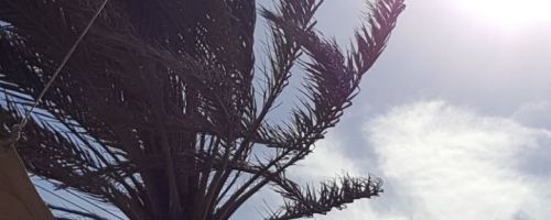 IMG-20180430-WA0016