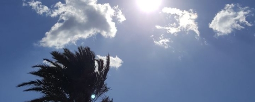 IMG-20180430-WA0055