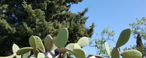 IMG-20180430-WA0063