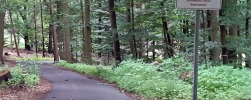 IMG-20190620-WA0025