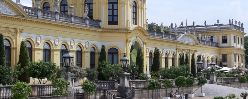 IMG-20190621-WA0011
