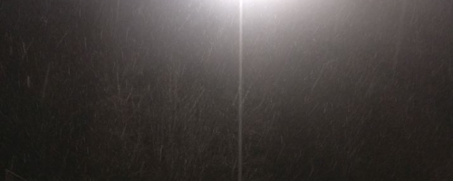 IMG_20220331_204439