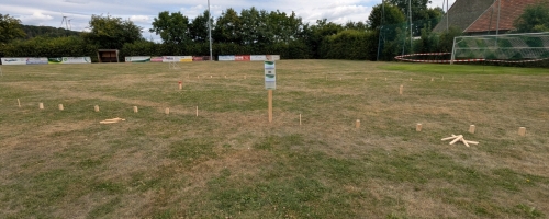 PXL_20250706_084437028